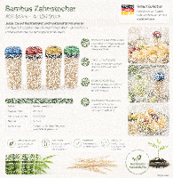 Bambus Zahnstocher 400 Stück