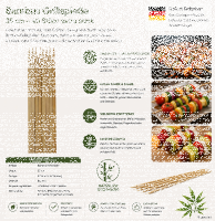 Bambus Grillspieße 35 cm, 40 Stück extra stark