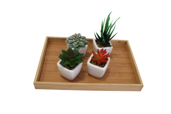 Aufbewahrungsbox, Utensilienbox aus Bambus-Holz 19 x 29 cm